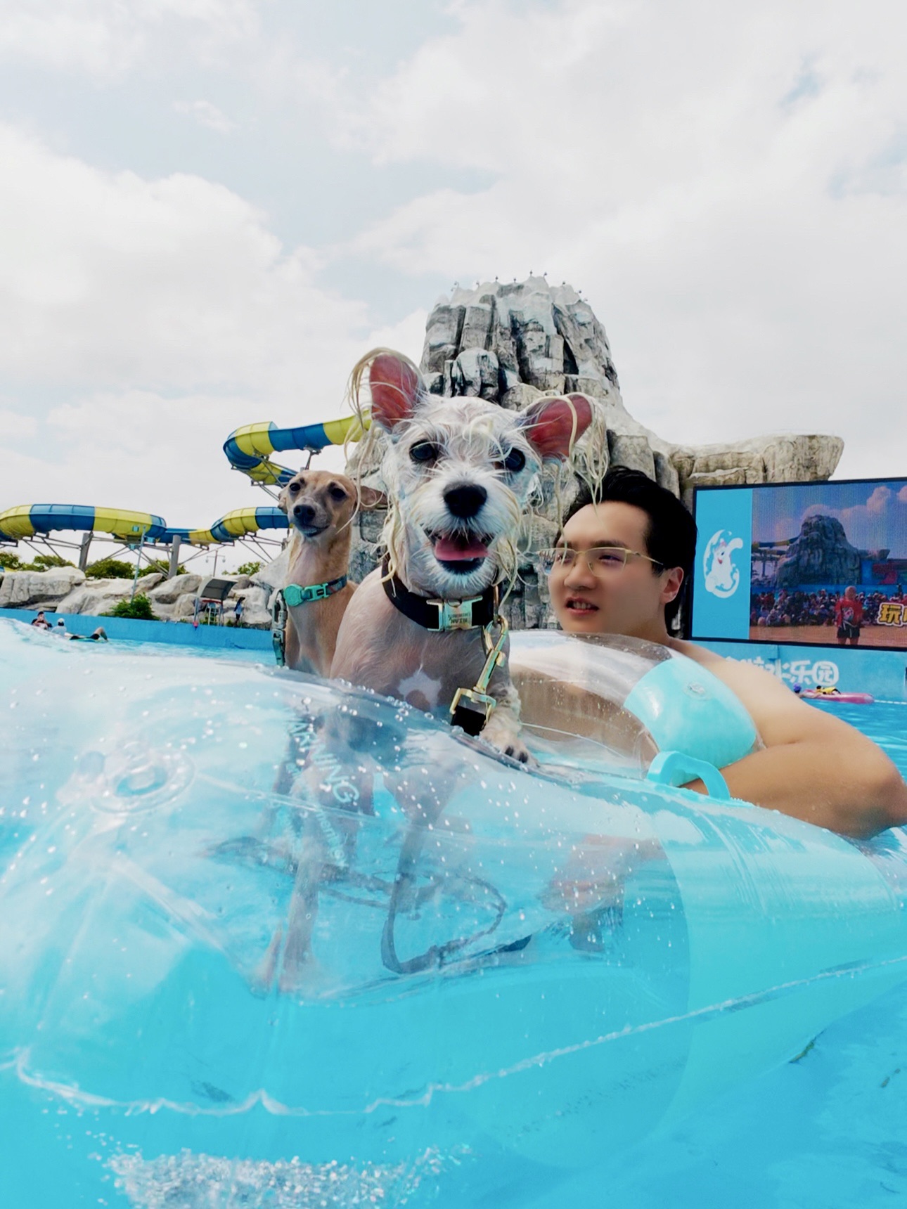 心心和念念🐶夏天包场玩水的快乐🎉