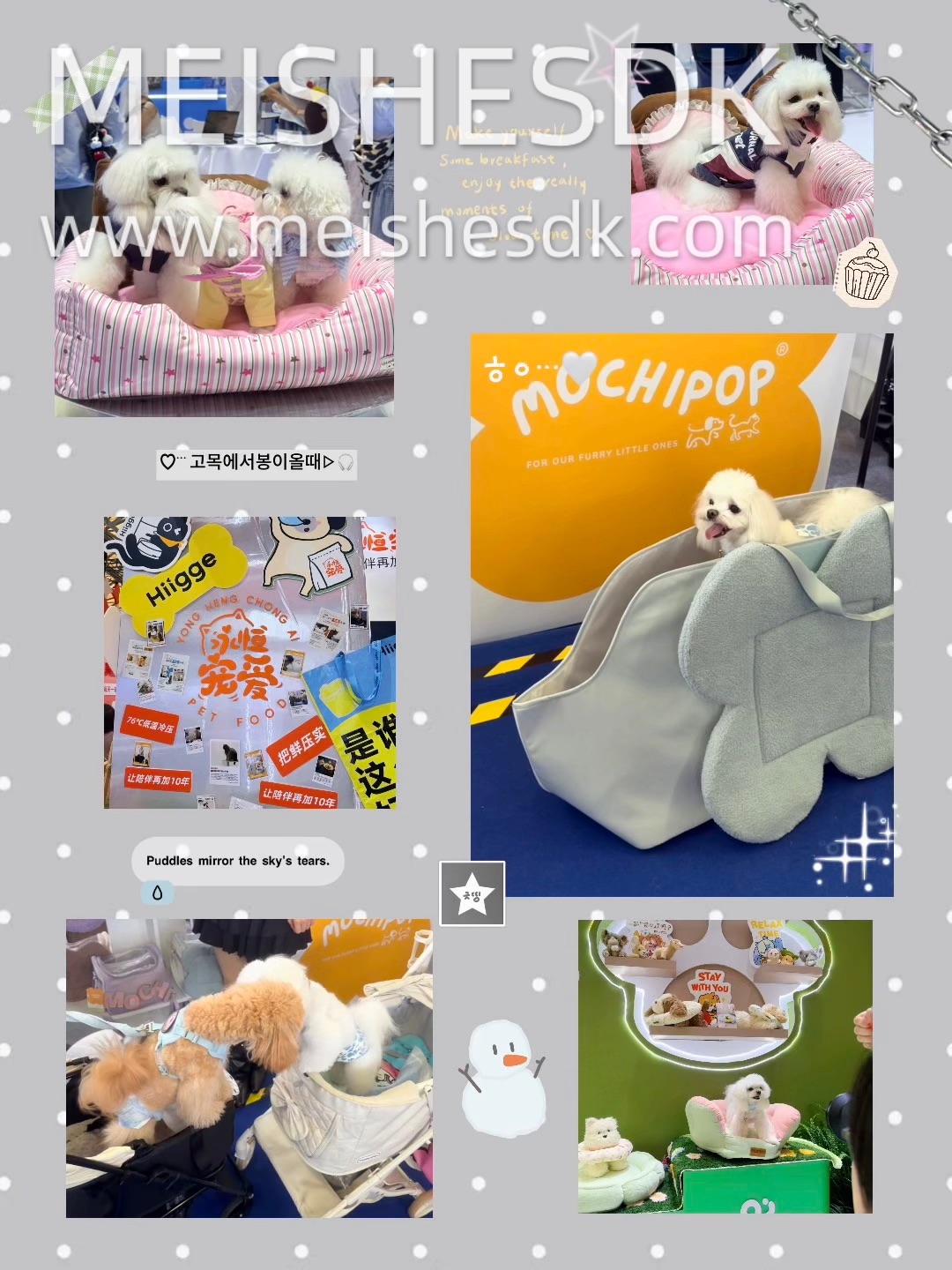 逛亚宠展｜被一众小众宠物品牌狠狠圈粉
