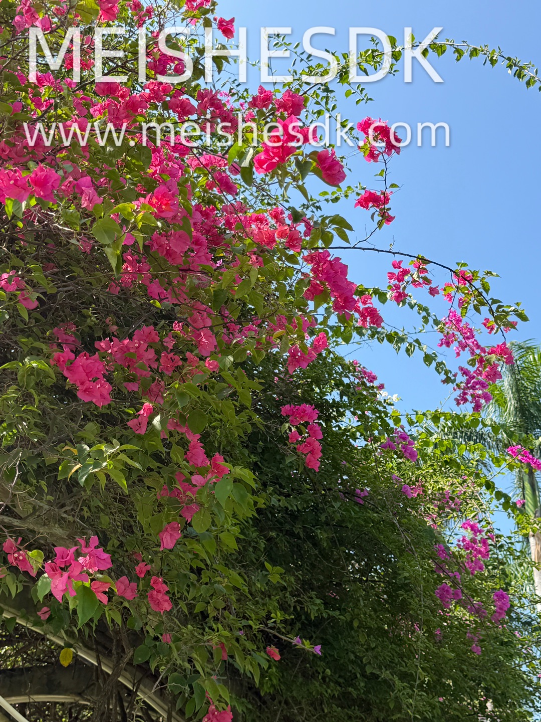 我是一个老派的人🌿偏爱慢悠悠的生活节奏 喜欢逛公园 喜欢漫无目的散步 喜欢记录花草树木 定格蓝天白云 偏爱细水长流的所有美好 耳机循环着百听不厌的歌 把时间浪费在温柔的小事上就很治愈 - 📍：湛江霞山观海长廊