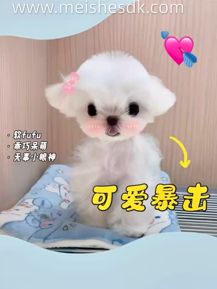 姨姨们快看看🤗我吐舌头卖萌犯规了吗？😝