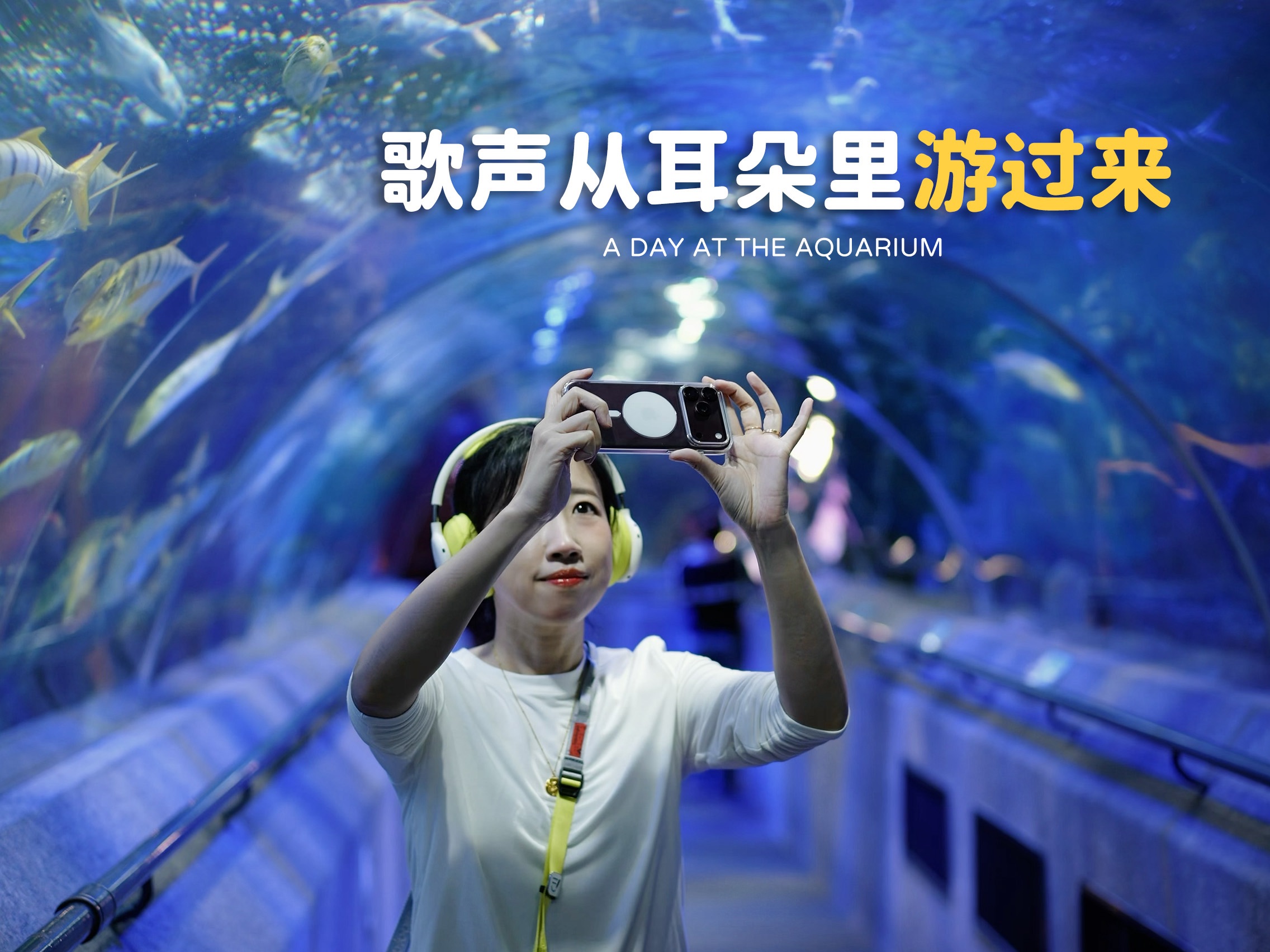我只是逛了海洋馆，结果这副耳机戴了一整天！