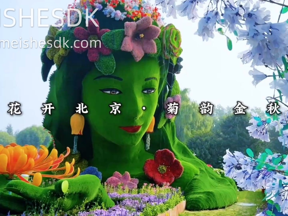 原来北京的秋天 竟然藏在这片菊花海