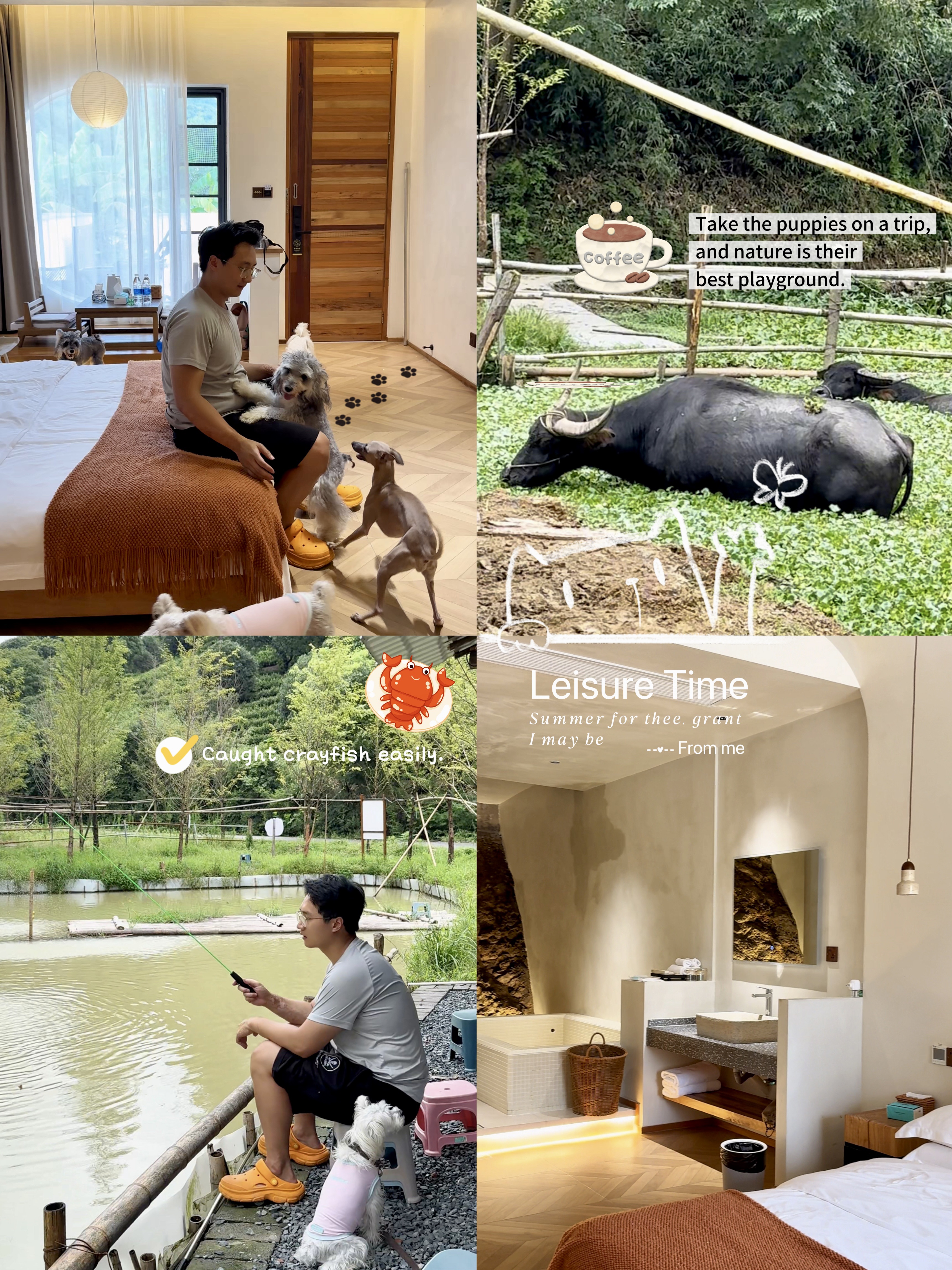 🏡安吉携宠度假｜红山楂农场，带五只小狗住进山野私汤小院