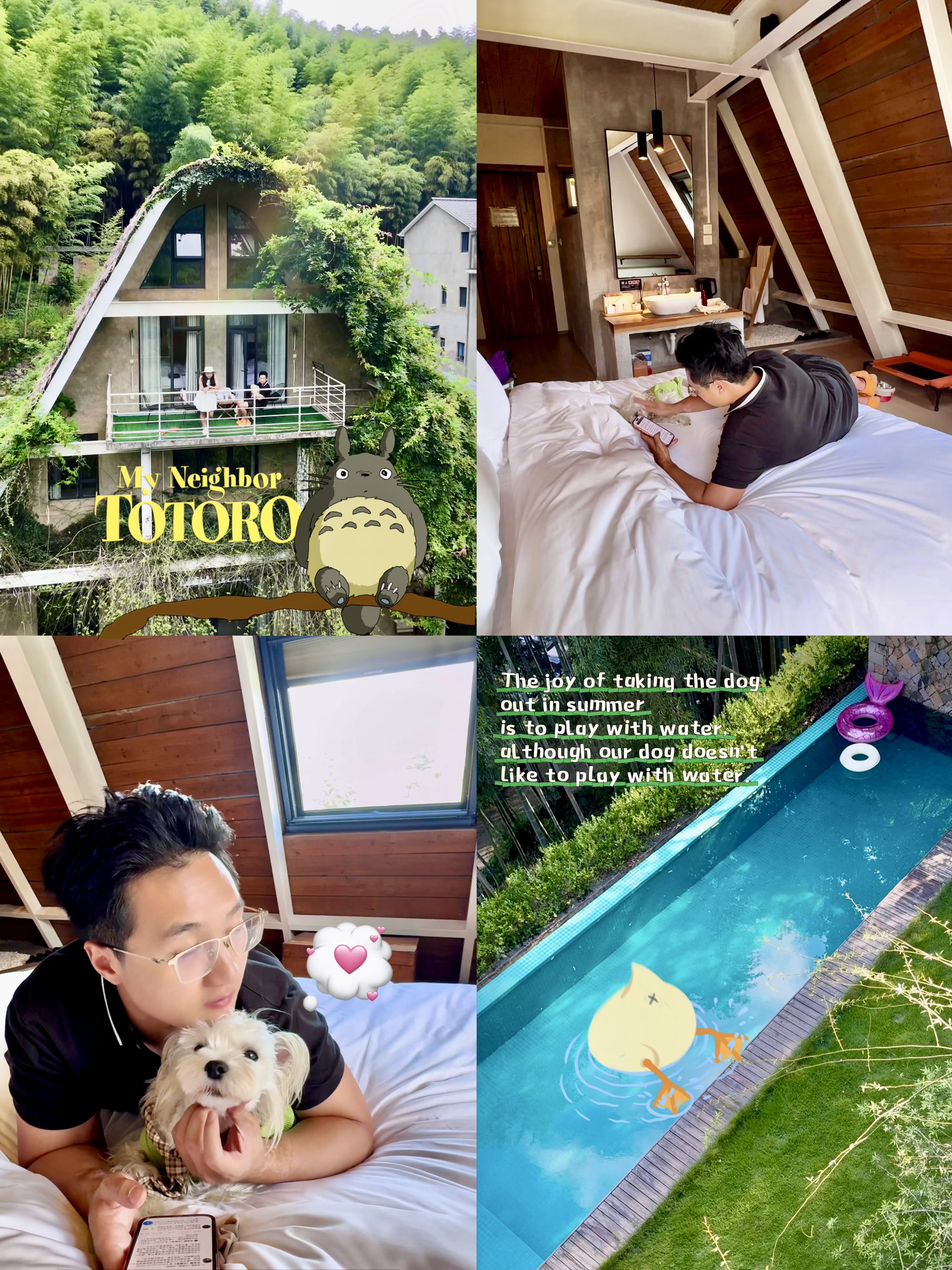 🏡莫干山携宠民宿｜住进宫崎骏童话小屋·草塗建筑美宿