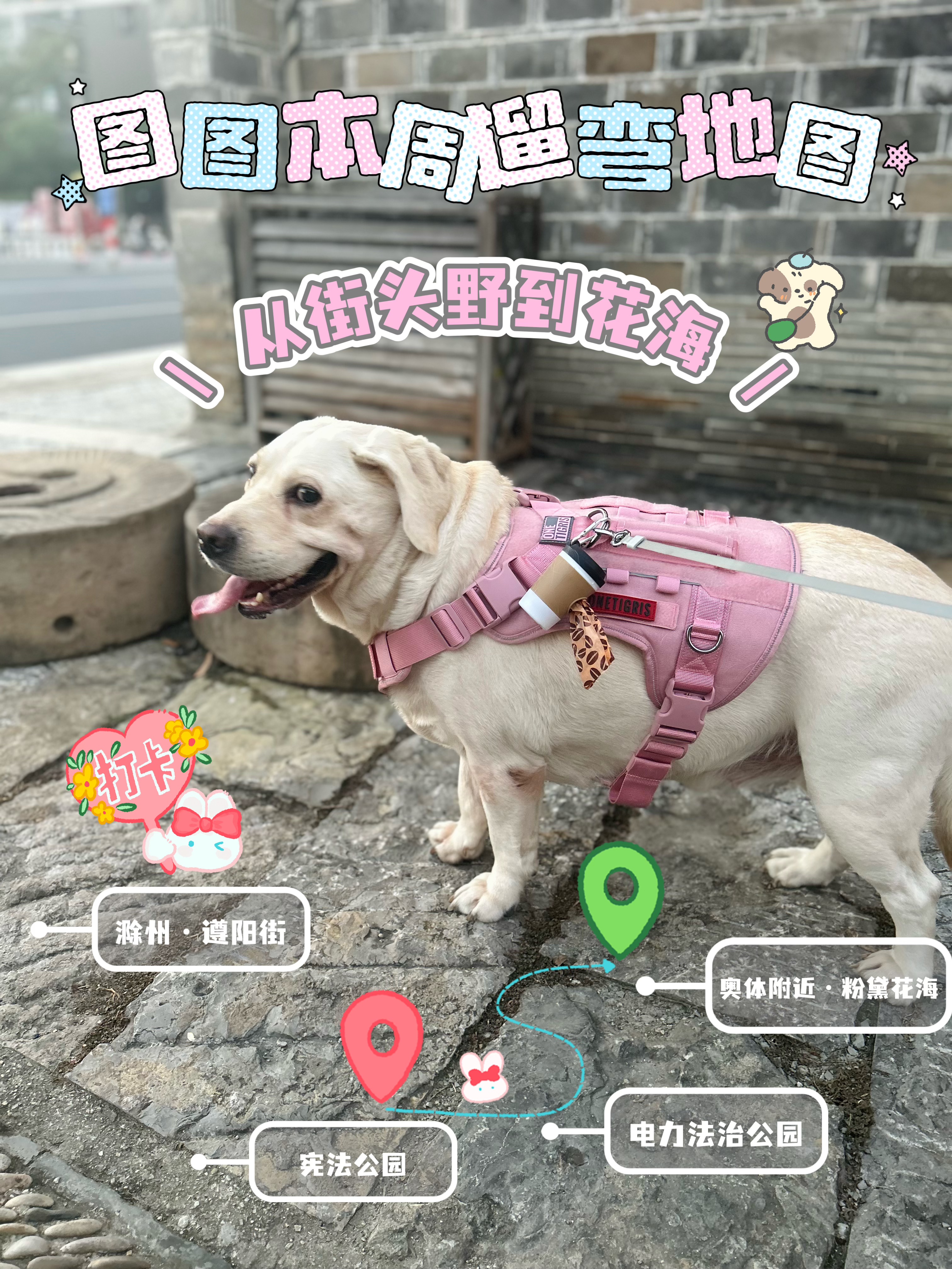 🐾图图本周新地图🐶