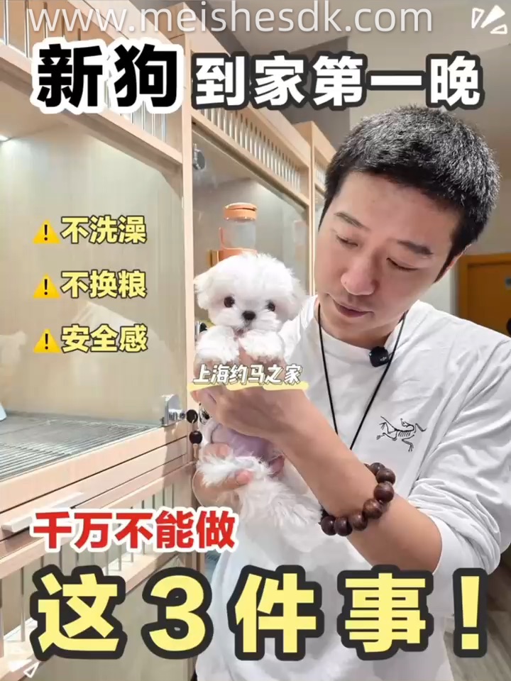 🐾新狗到家第一晚，这3件事忍住别做！