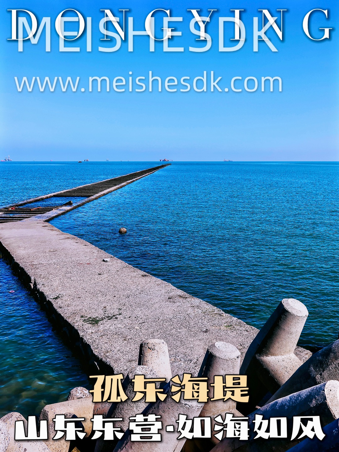 孤东海堤 赴一场渤海的温柔之约