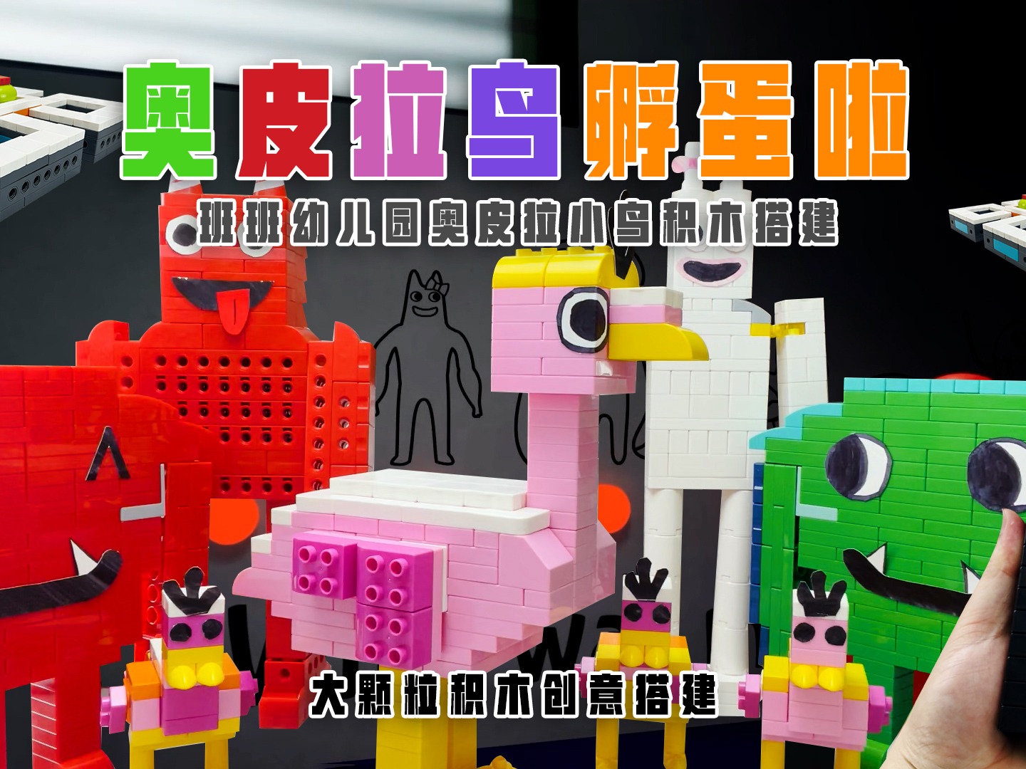 奥皮拉鸟孵蛋啦！猜猜有几个小奥皮拉鸟呢？