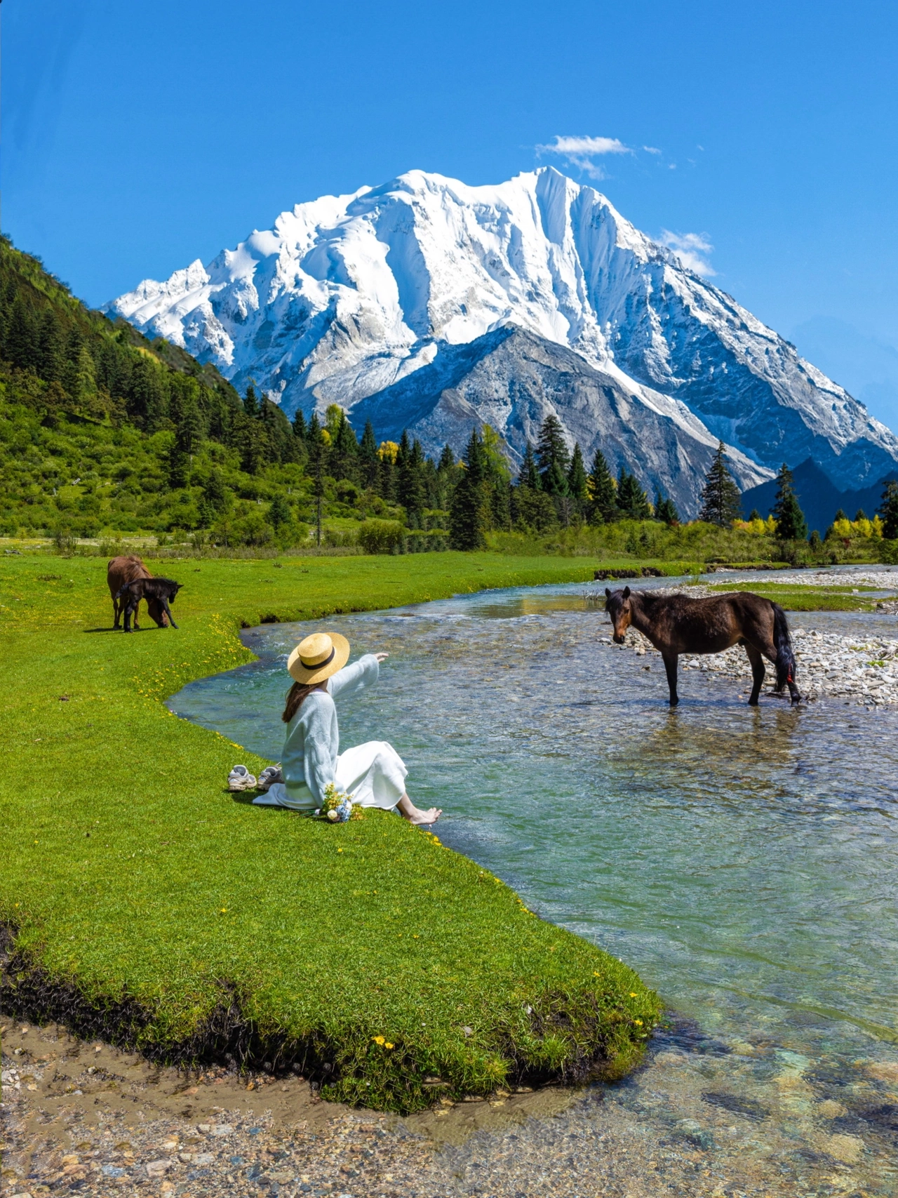 雪山、小溪、草甸🍃人少免费的超美露营地❗️