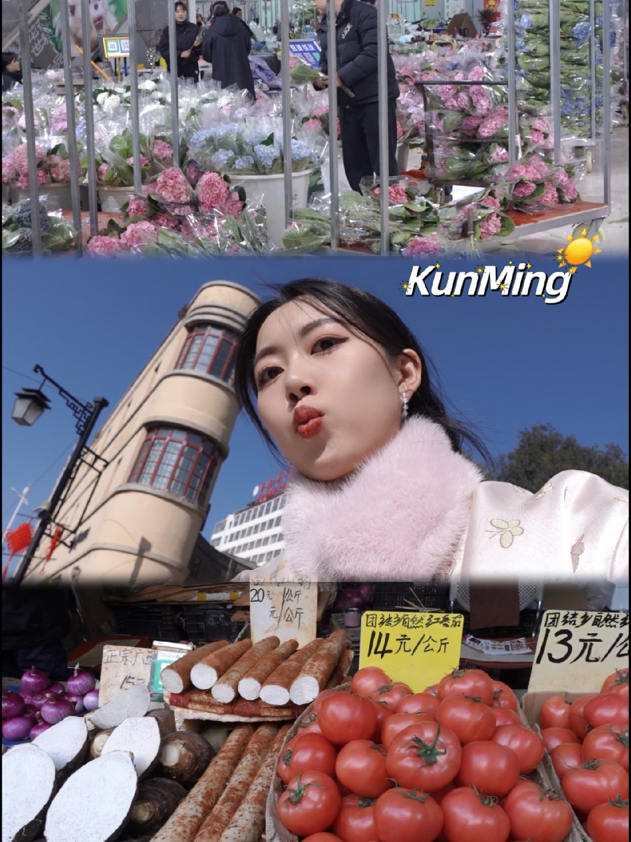 昆明citywalk💐一日溜达路线🚶好爱花花世界