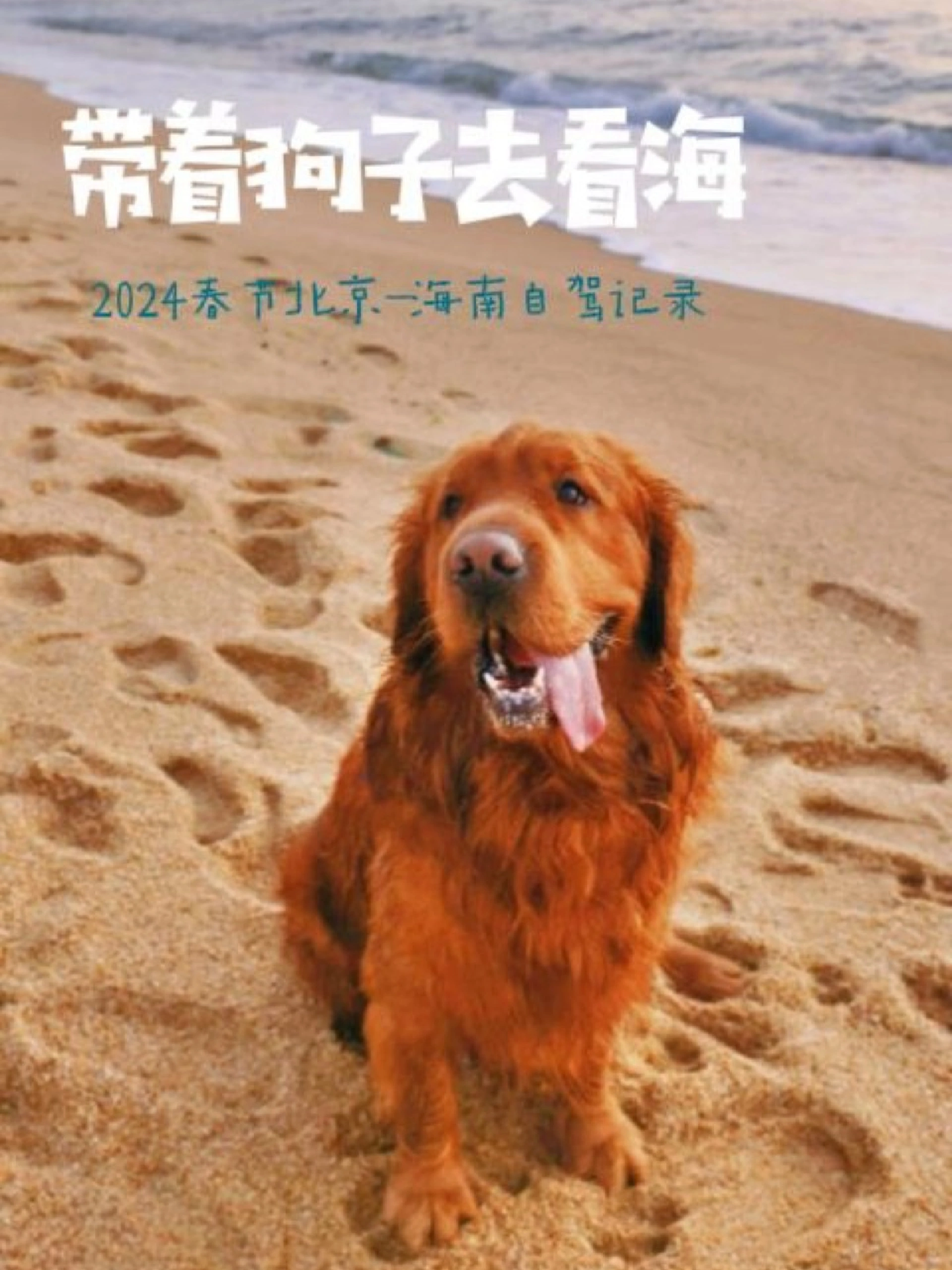 宠物过大年|春节北京-海南带狗自驾路程记录