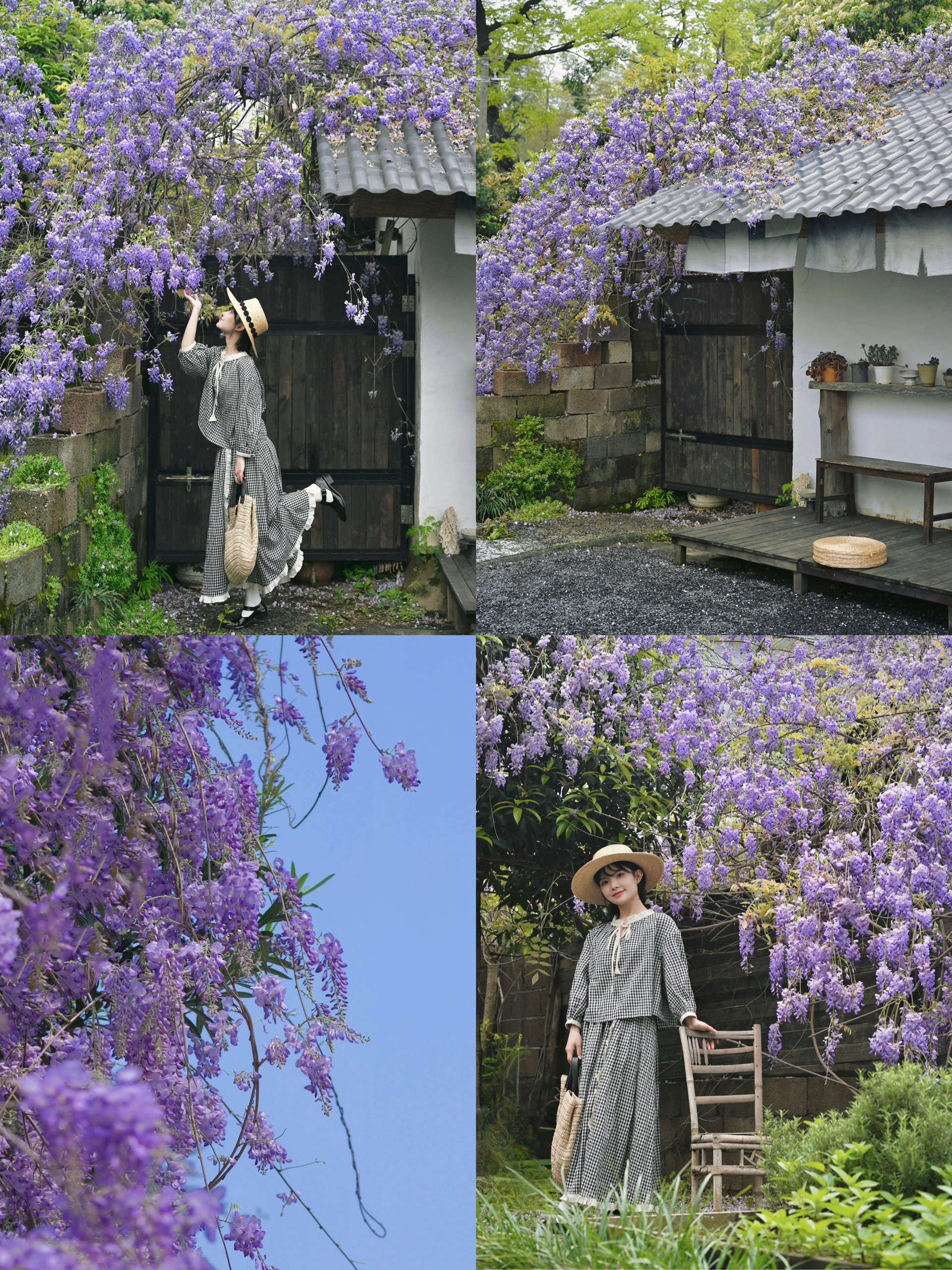 开满紫藤花的山野小院🪻🌿长沙的春天好浪漫