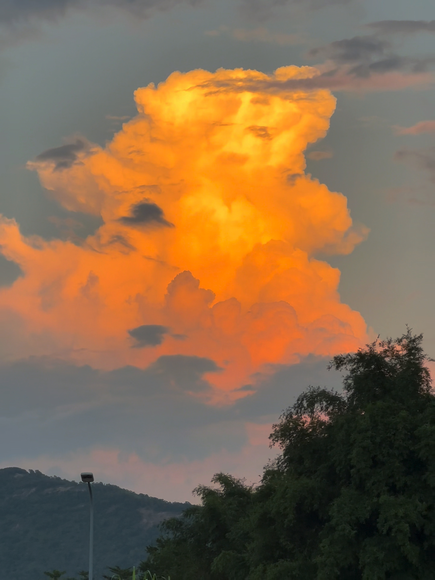 在重逢在街道 心跳比我先认出你.