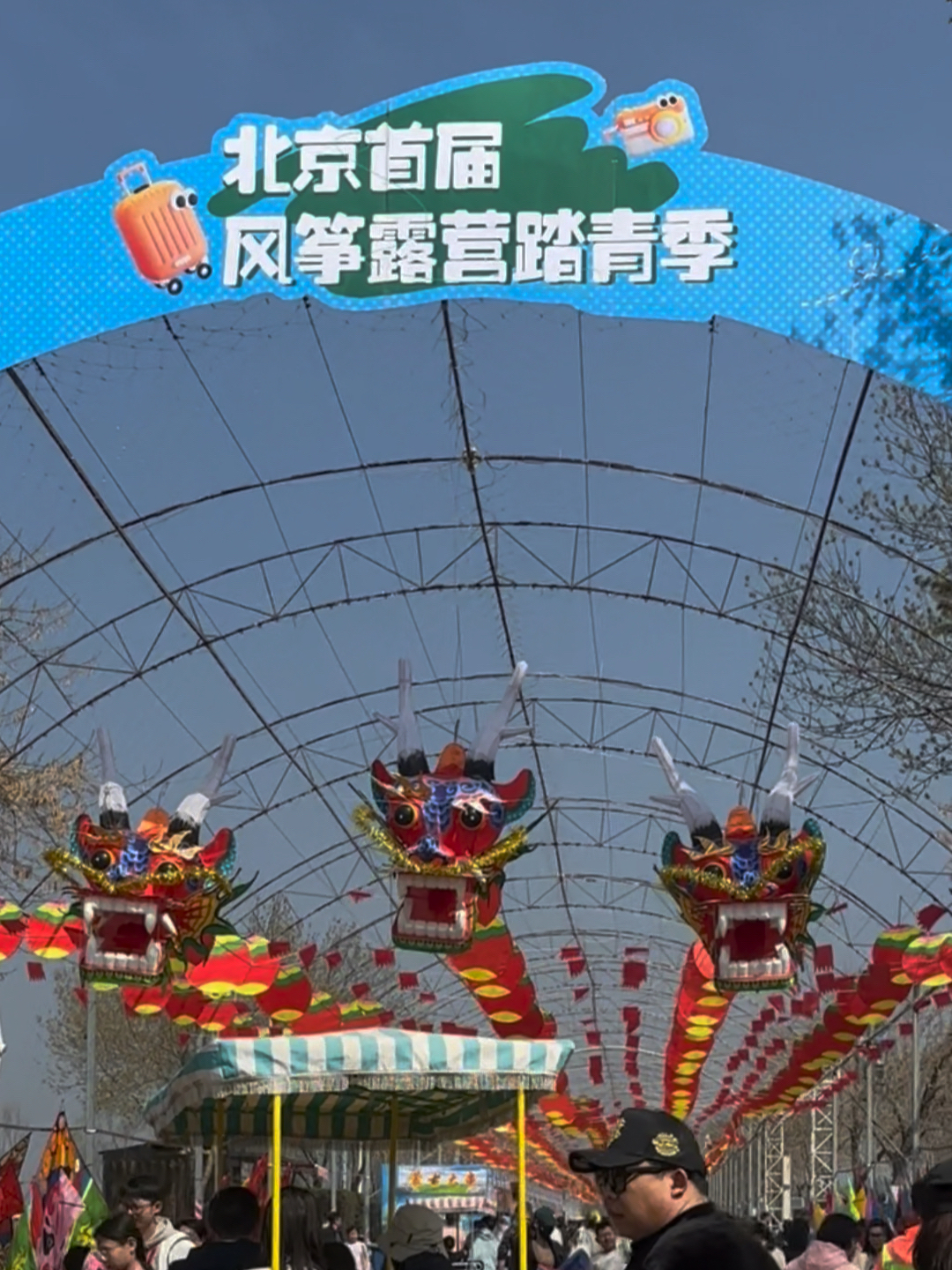 北京风筝节的巨型风筝飞起来了吗