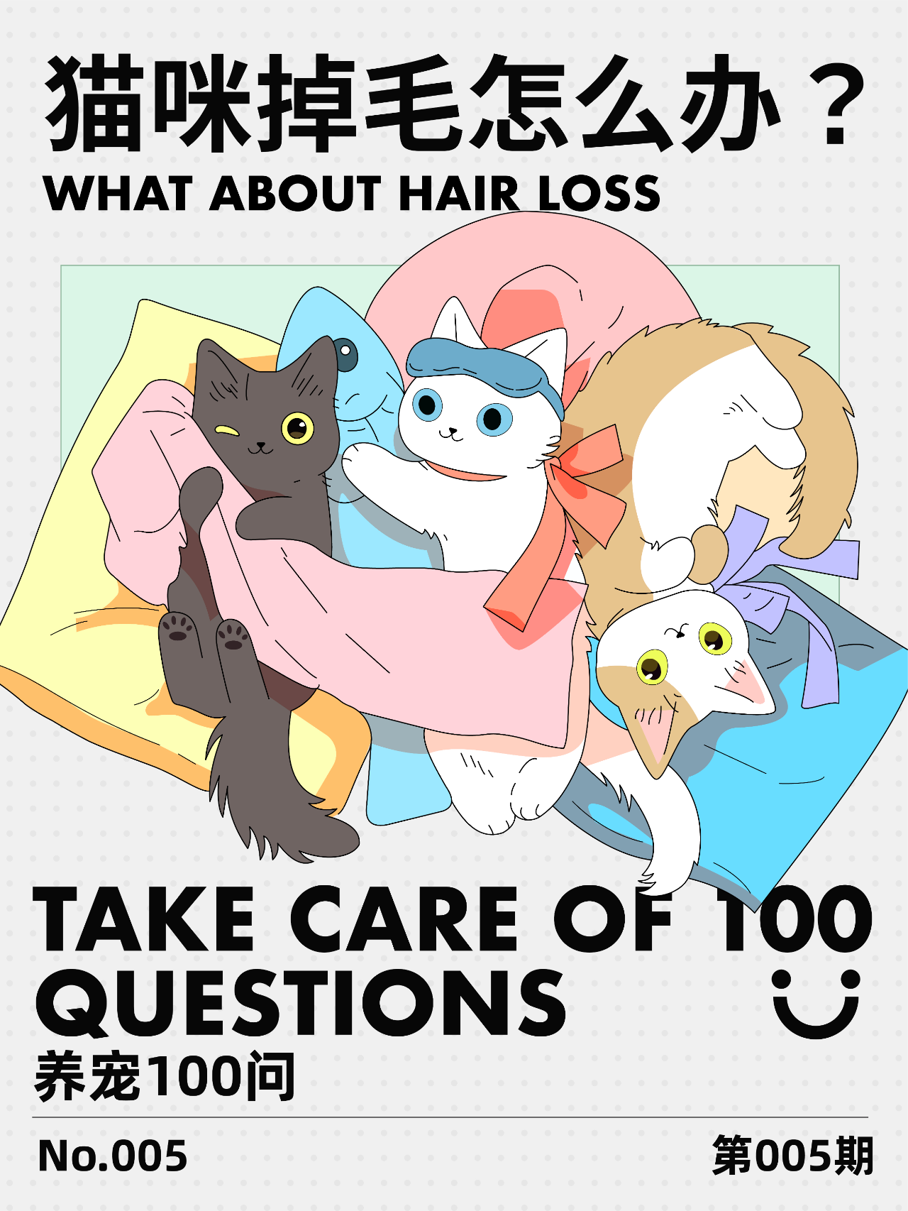 养宠100问 | 猫咪掉毛怎么办？🙀