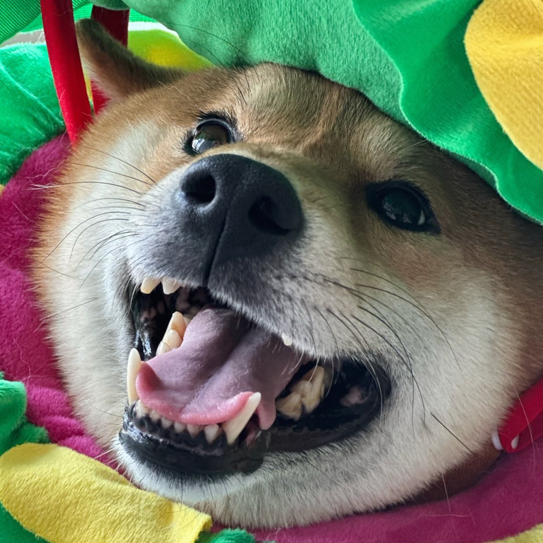 评论