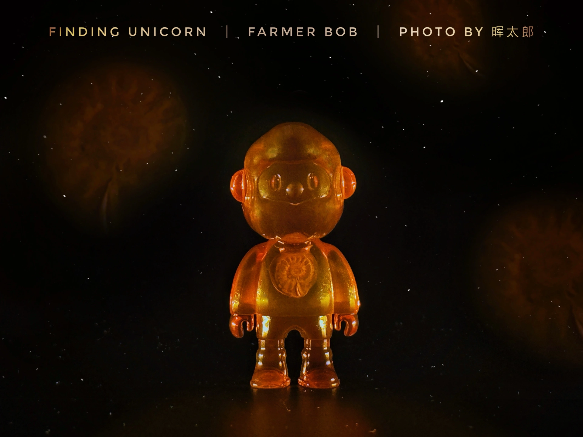 FARMER BOB ｜ 秘境琥珀