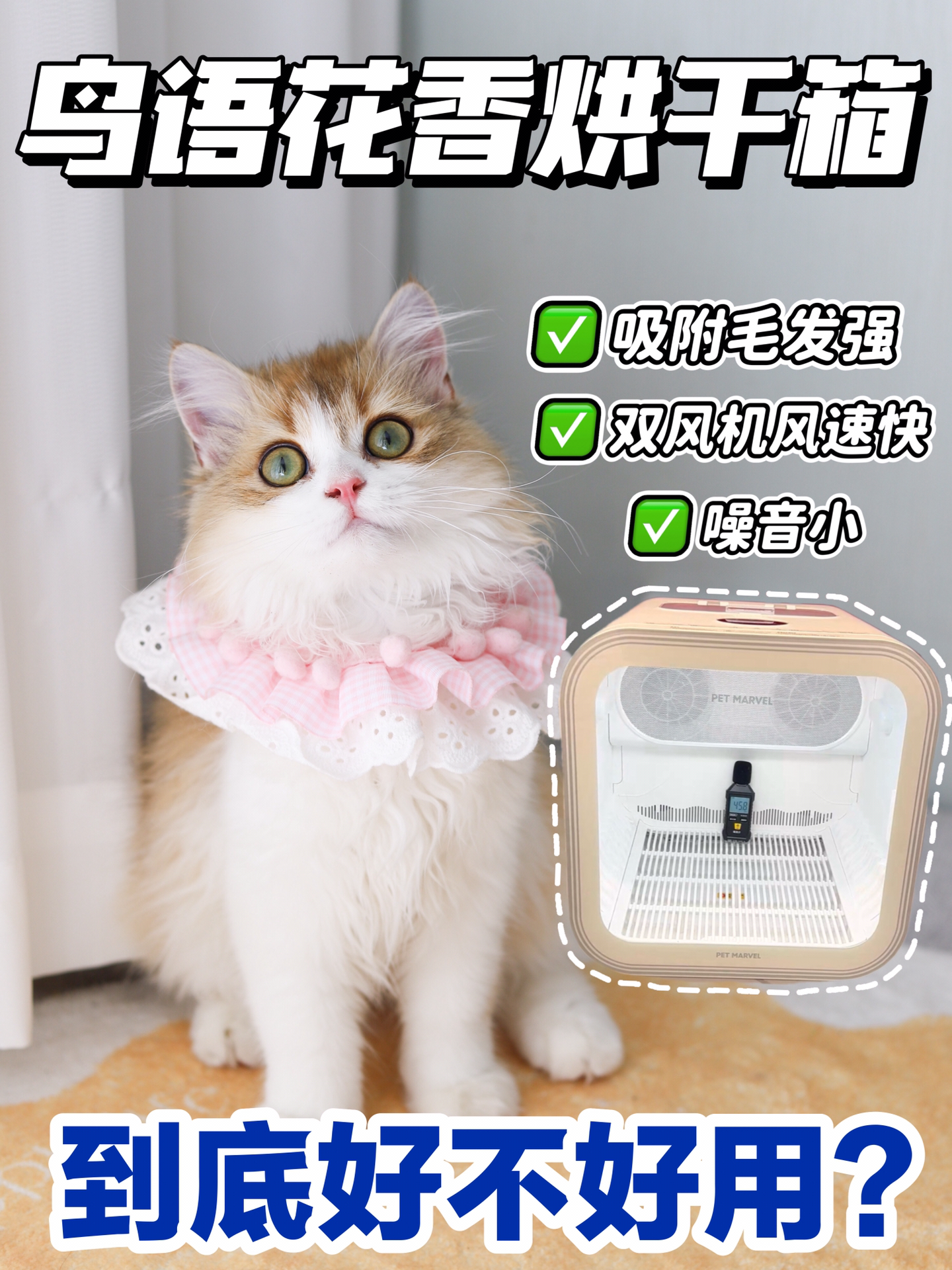 西五街