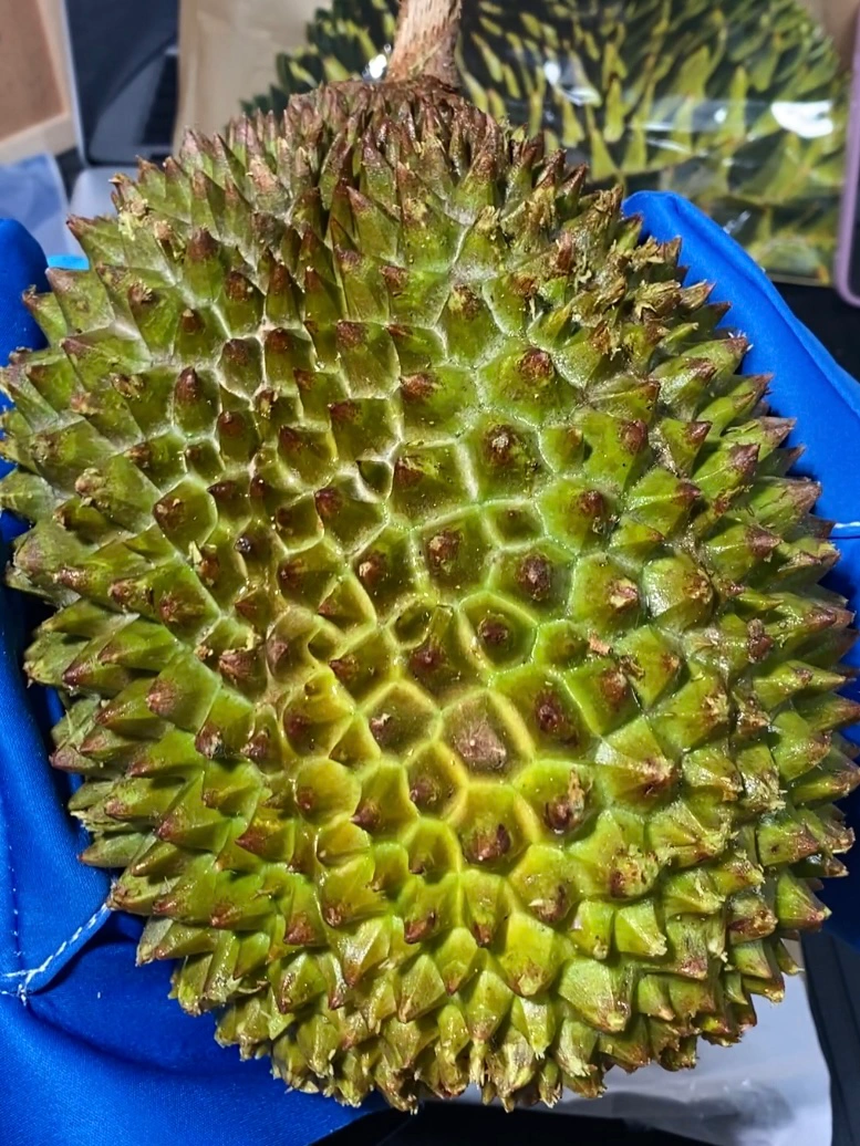 西五街