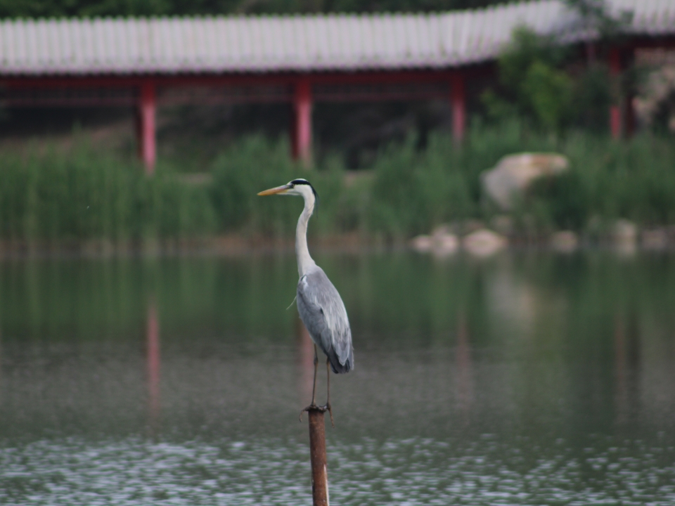 小憩一下