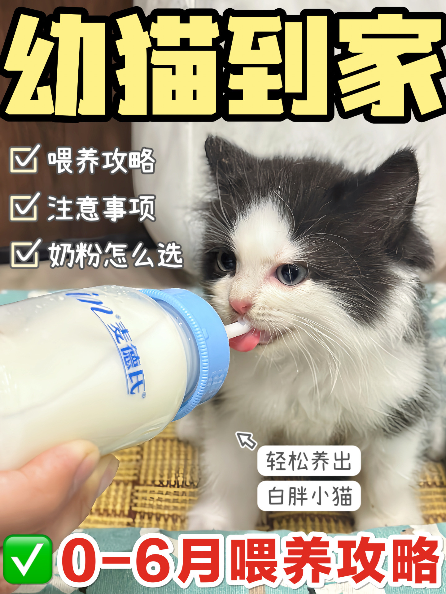西五街