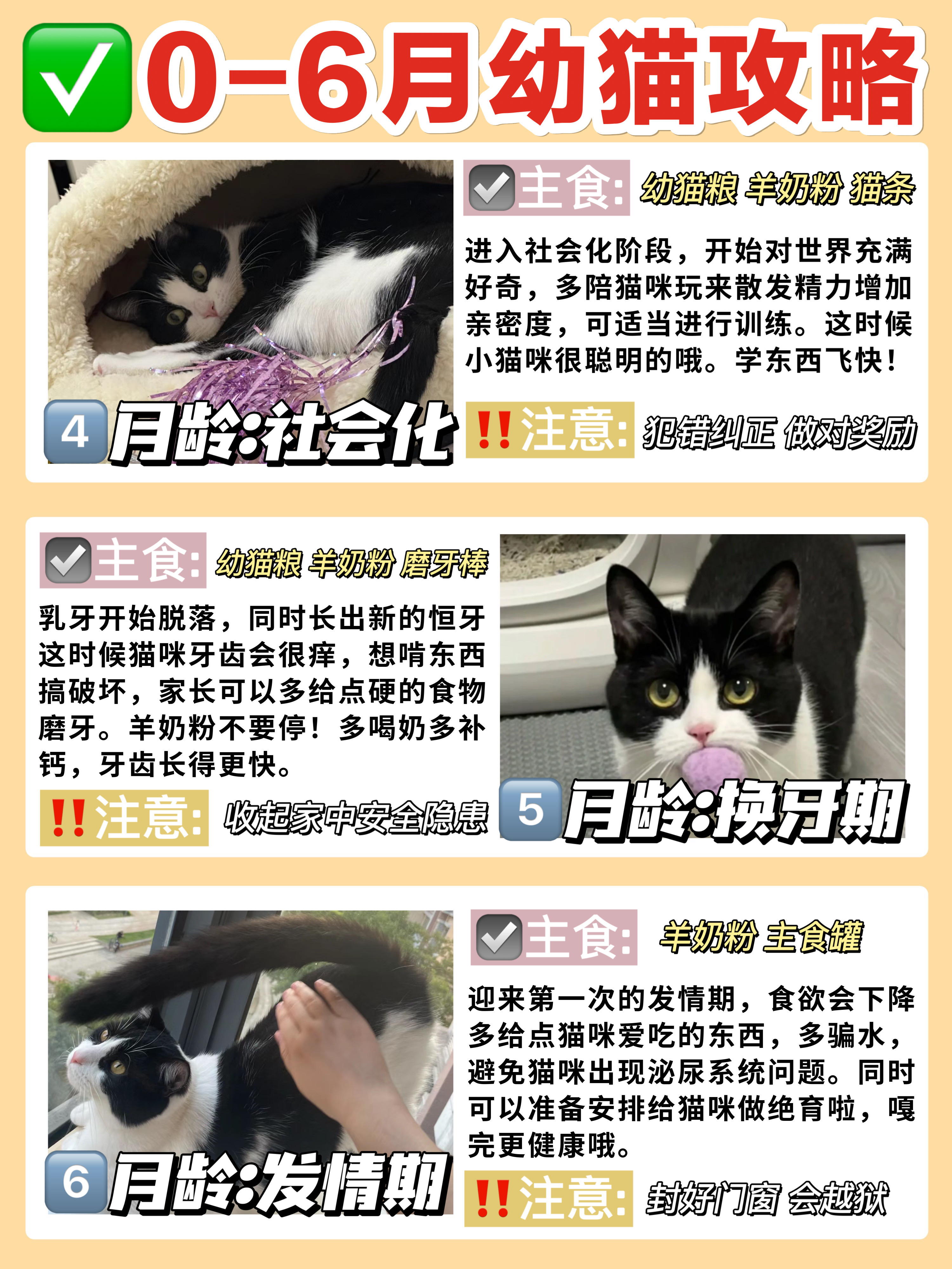 西五街