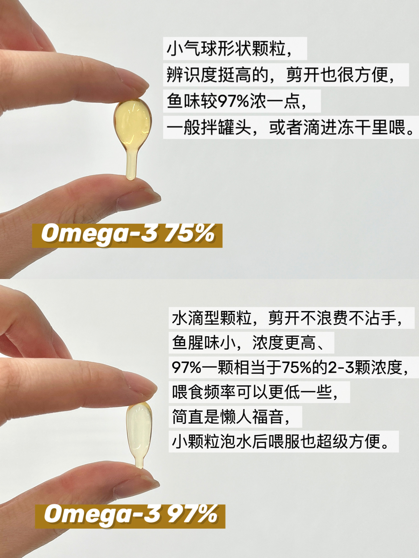 西五街