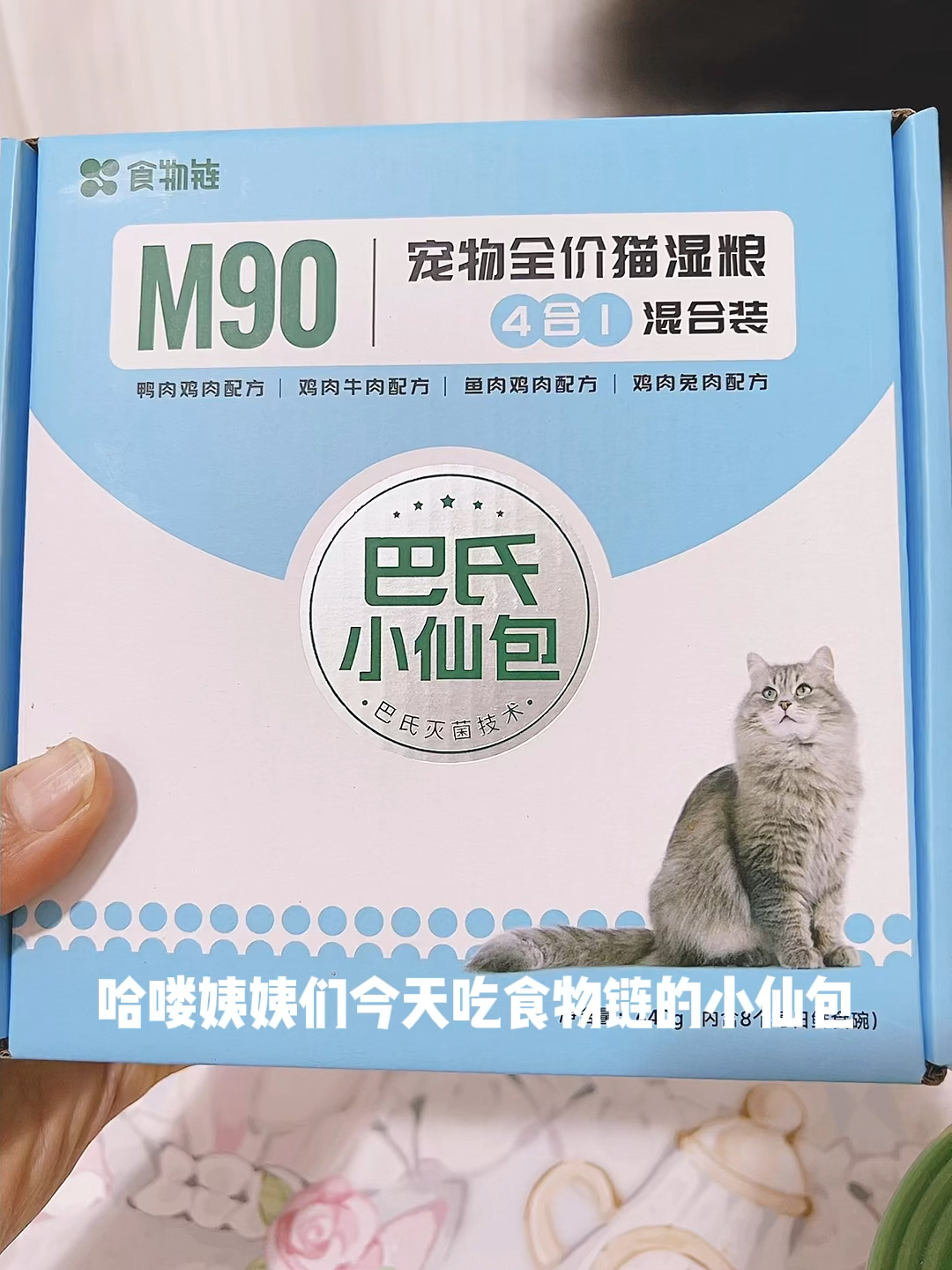 猫猫超爱的小仙包