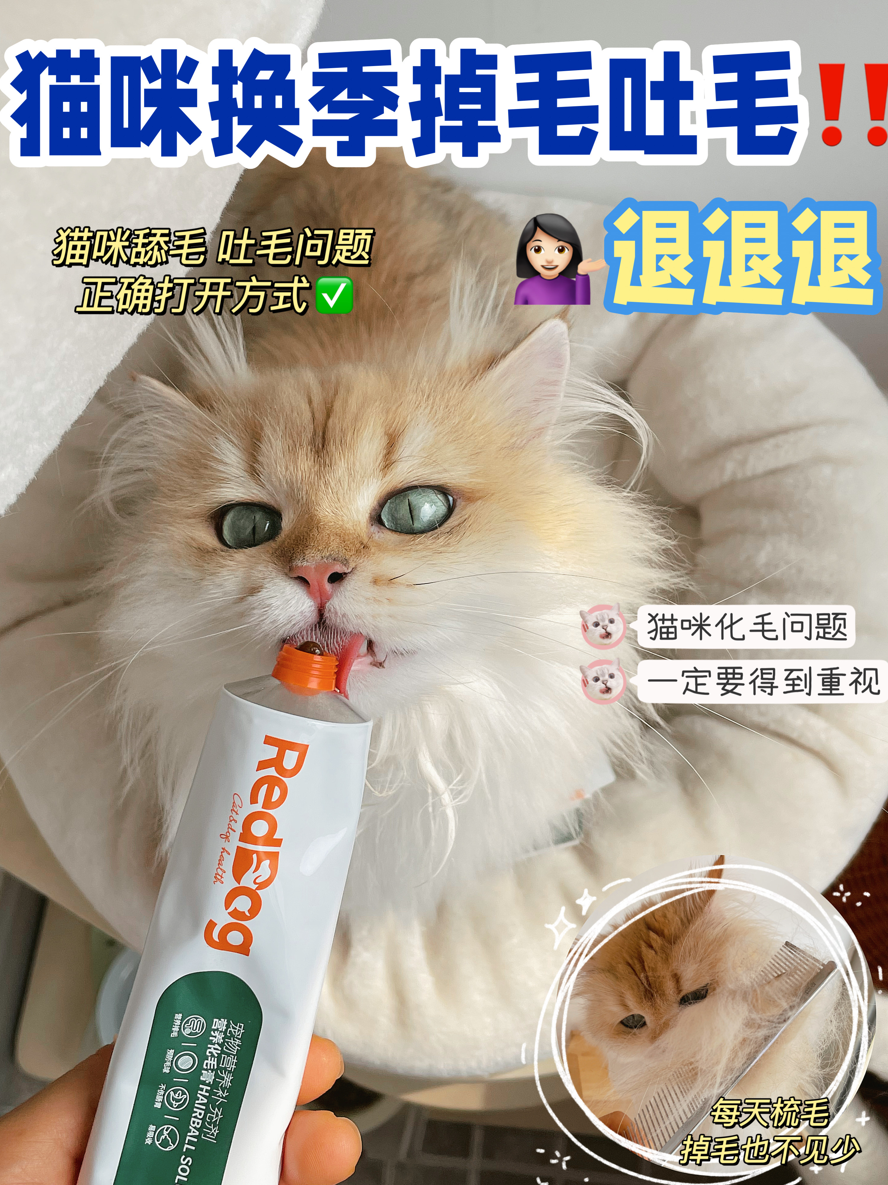 新手养猫｜猫咪吐毛不要怕‼看这篇了解️👇🏻