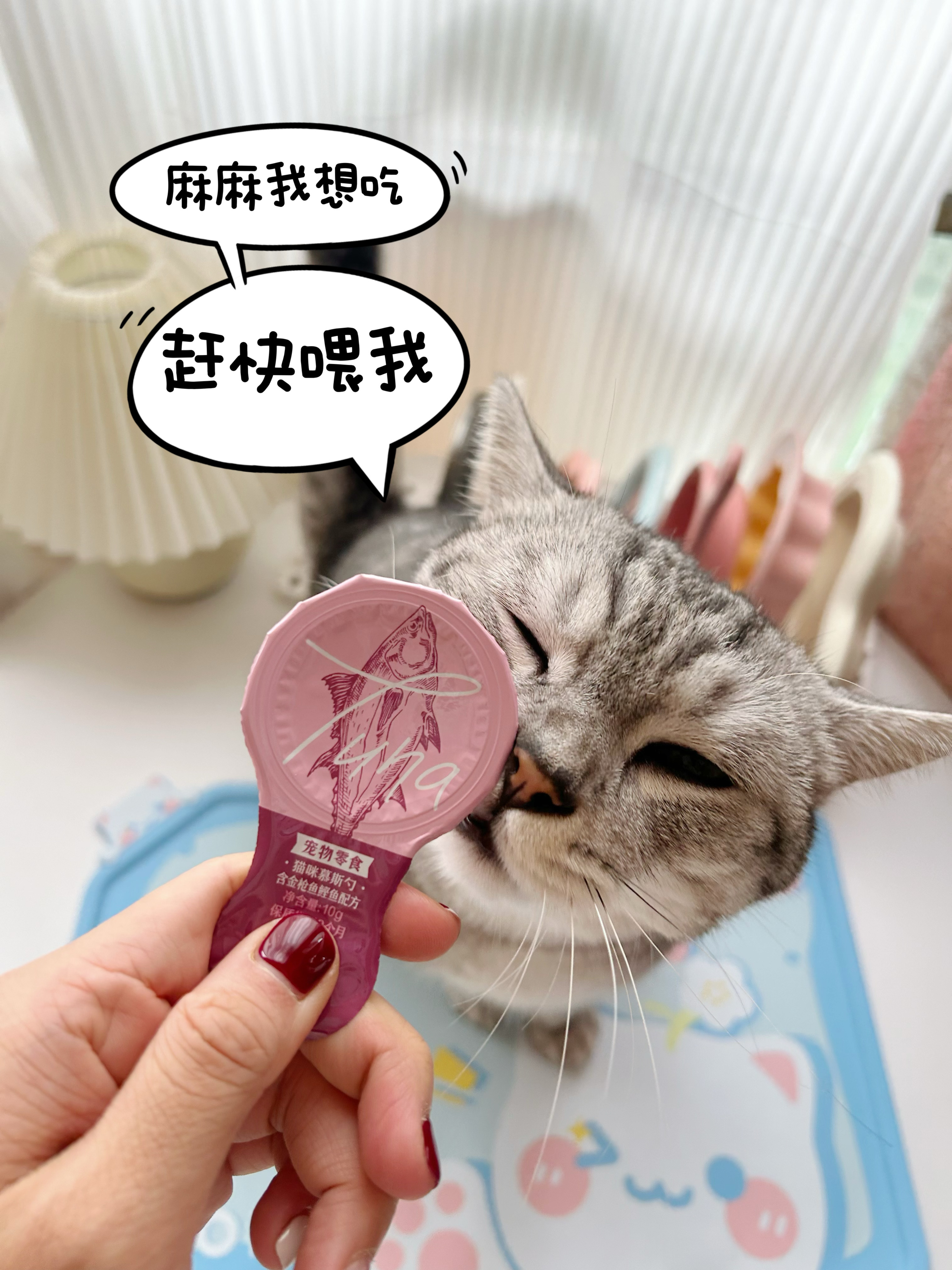 养宠多年无限回购的猫咪零食！