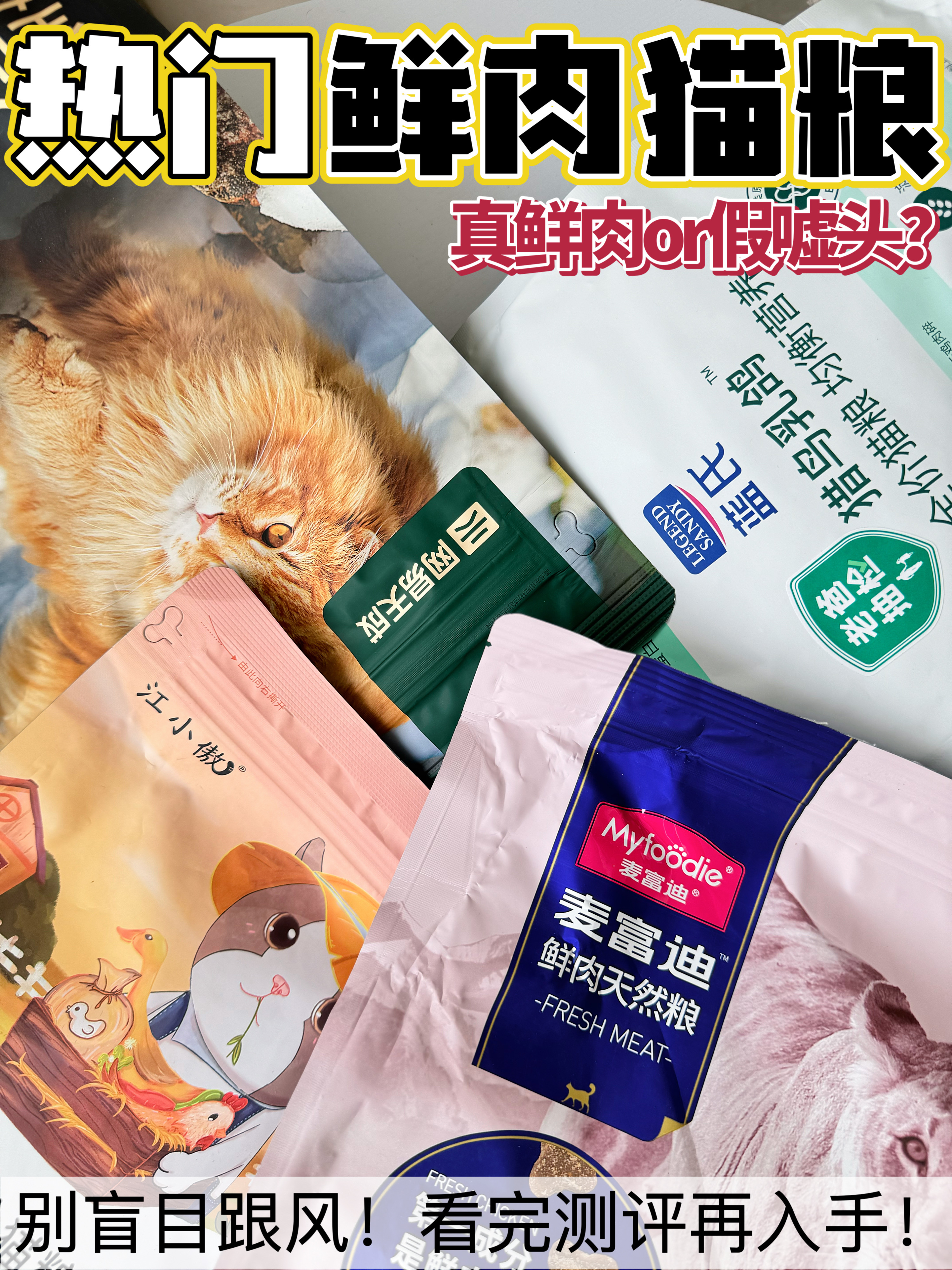 4款鲜肉猫粮｜到底怎么选？！