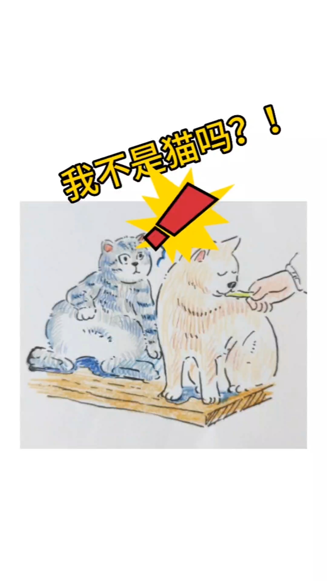 我不是猫吗？