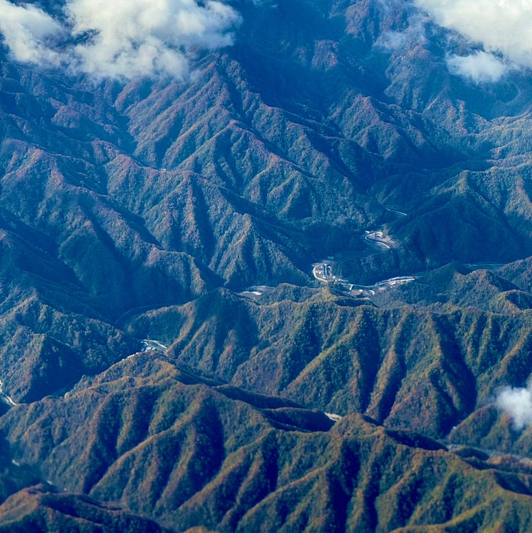 张小栖