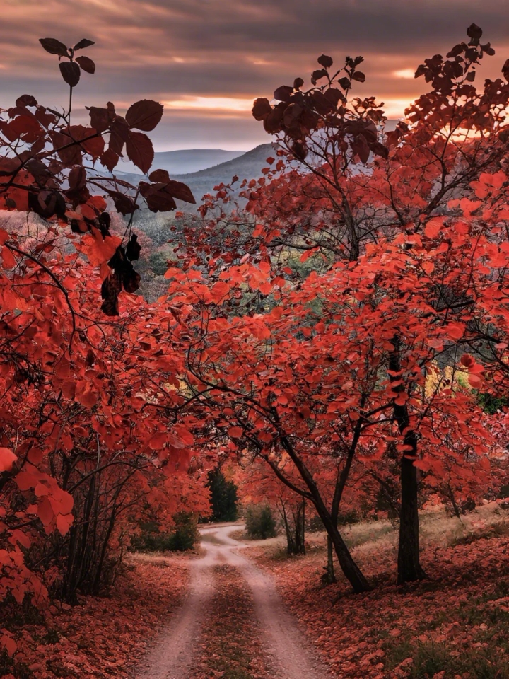 🔥🍂济南｜秋日仙境红叶谷，你绝对不能错过的绝美胜地‼📸