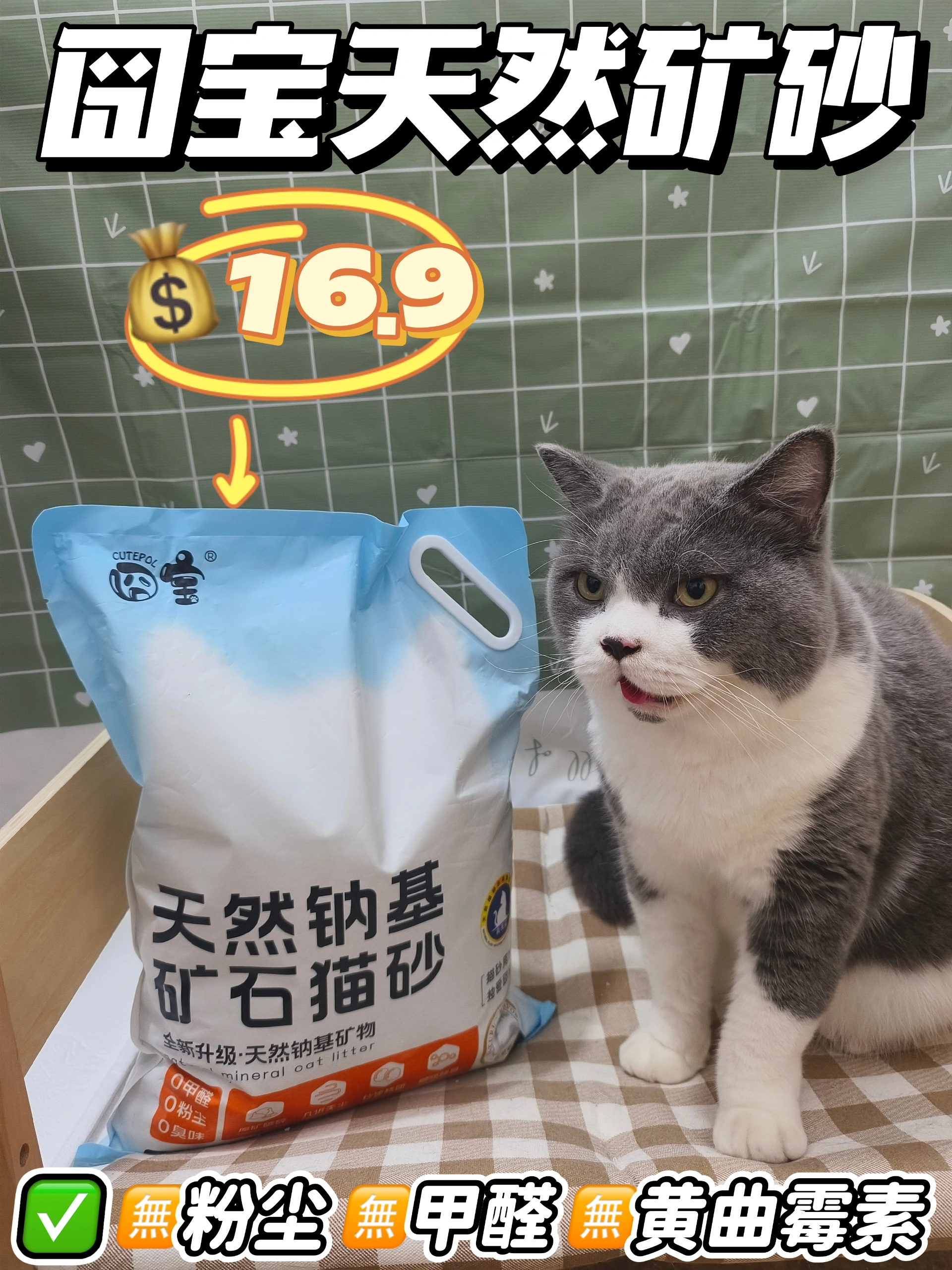 新手养猫必看！猫砂就选囧宝矿砂！