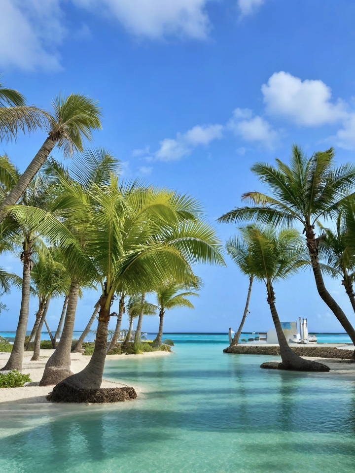 海南陵水🏖️保姆级三天游玩攻略