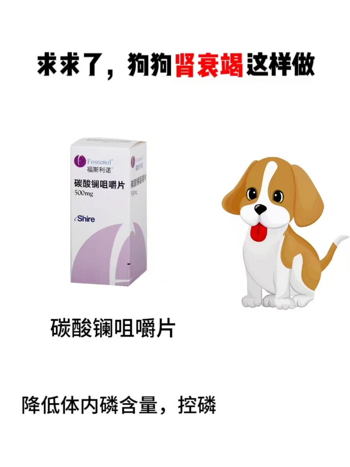 西五街