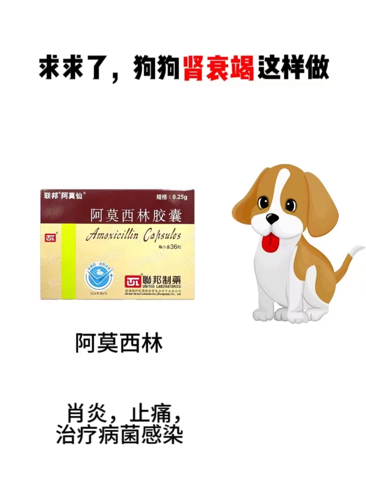 西五街