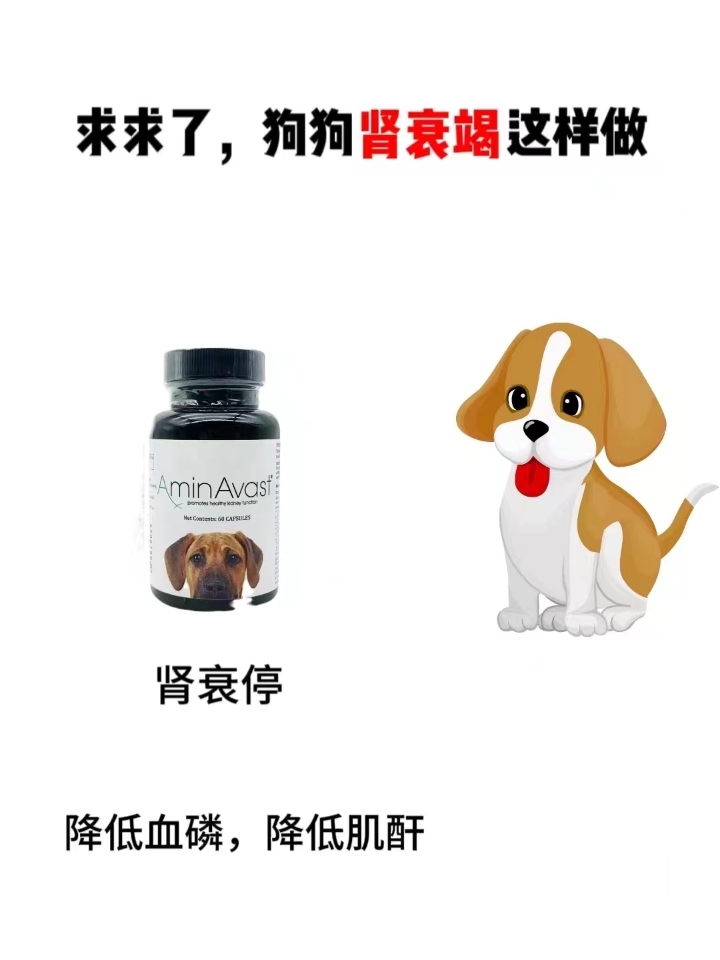 西五街