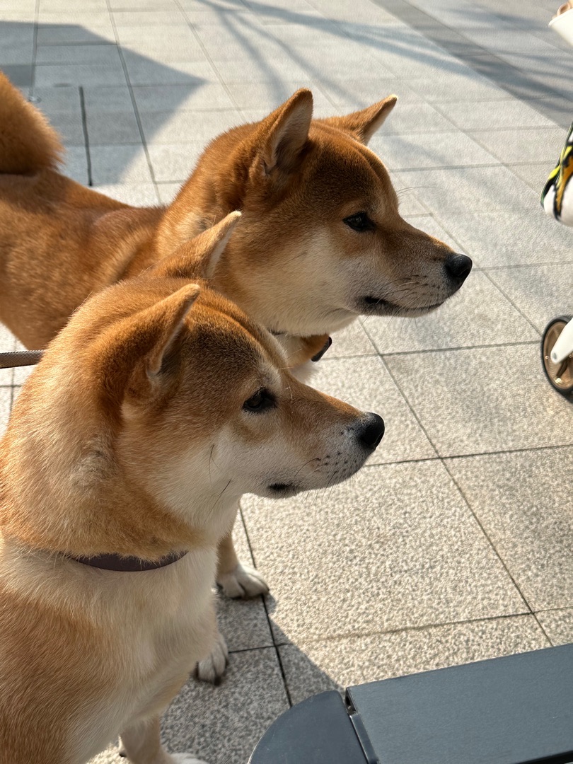 西五街