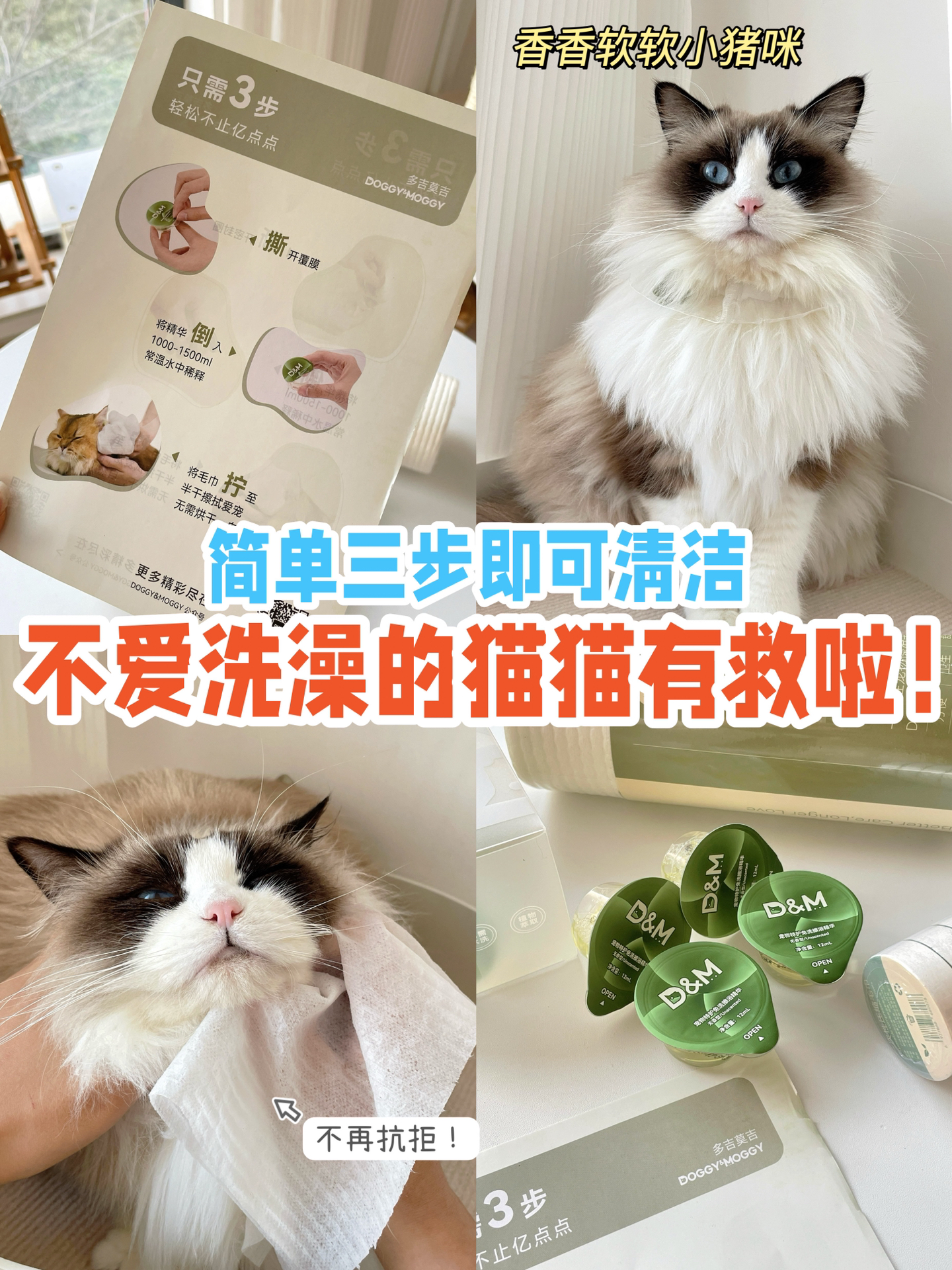 翻新一只小猫咪仅需这三部！