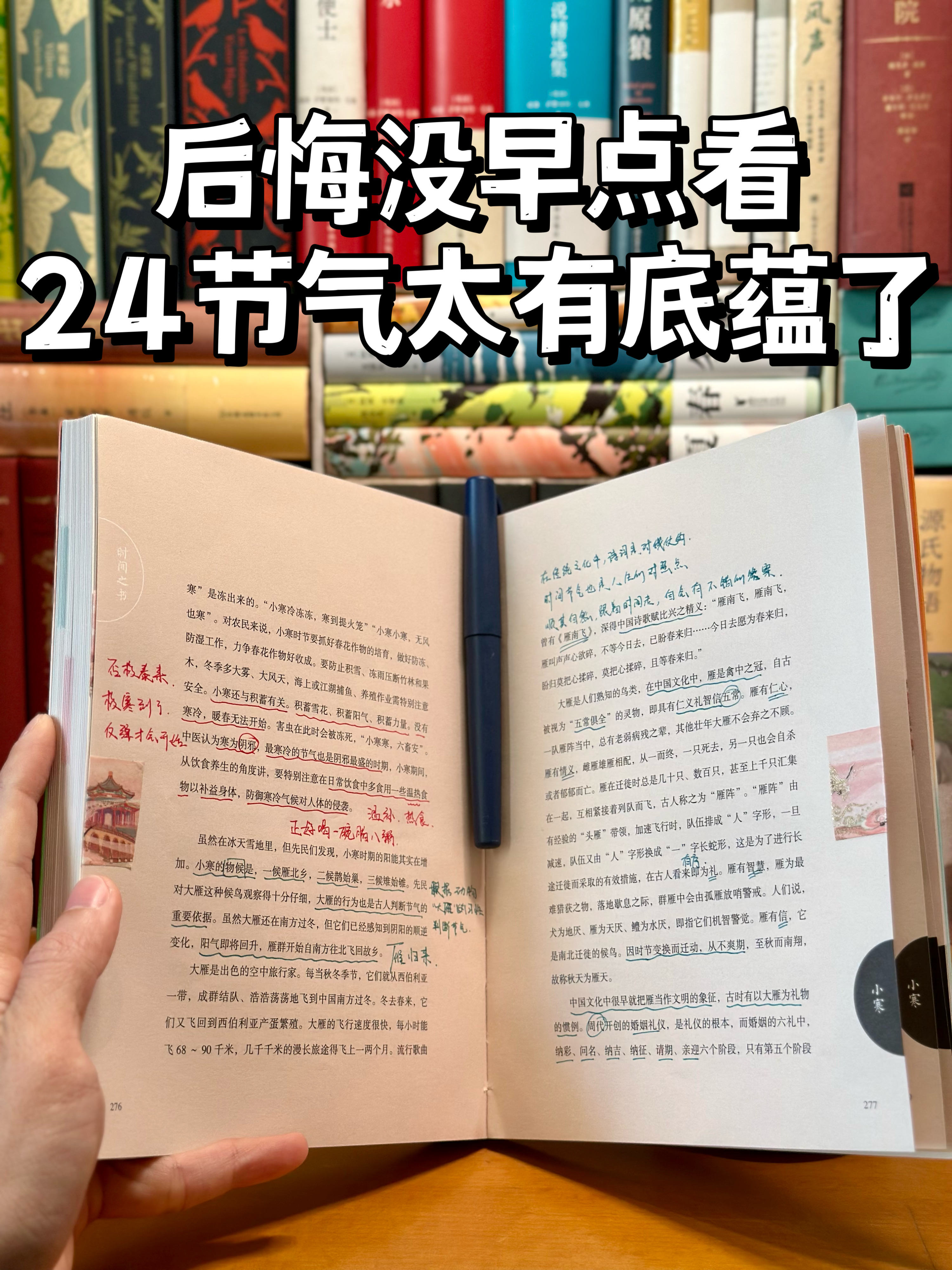 太可惜了❗️这么好看的书，居然没人推荐‼️