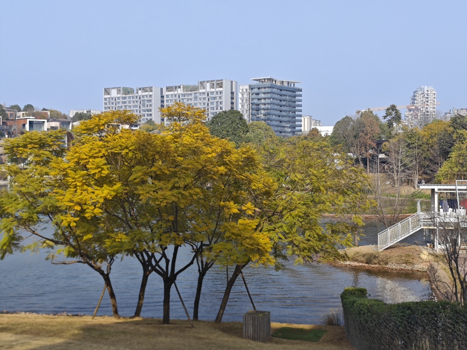 西五街