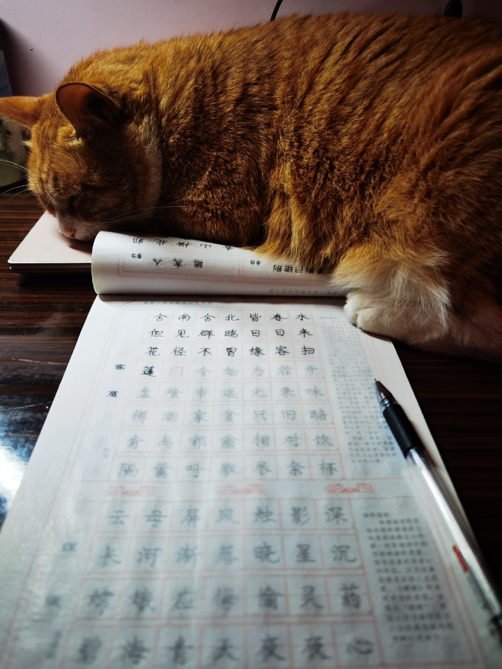 巨型镇纸