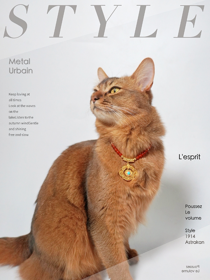 第一次想和猫咪抢项链