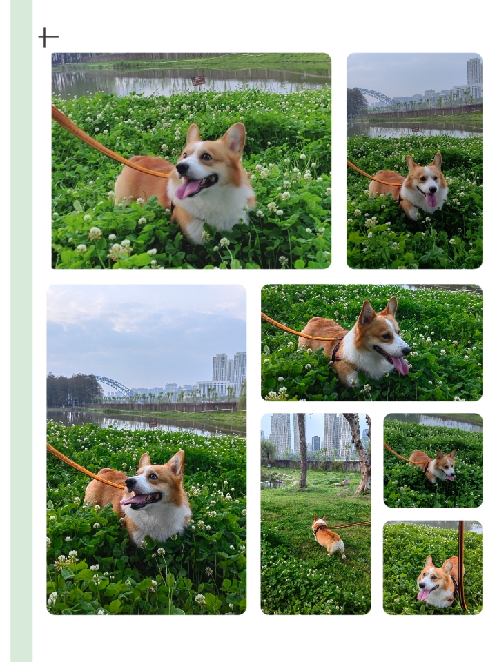 去公园吧！