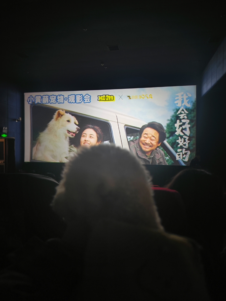 第一次体验跟狗狗一起看狗狗电影