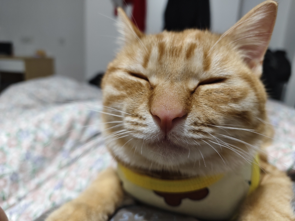 丑照来袭