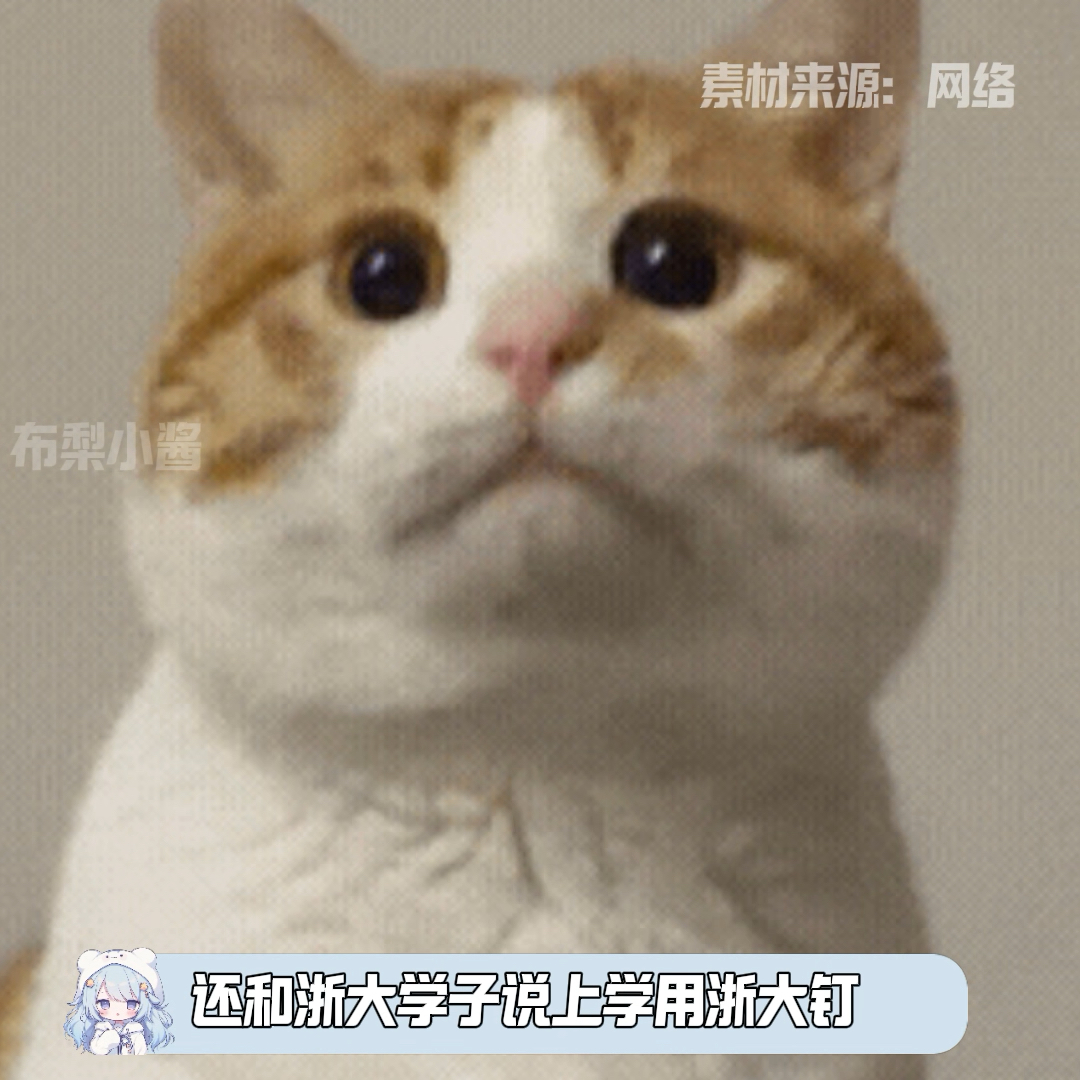 浙大学子以后根本不愁找工作了好吧