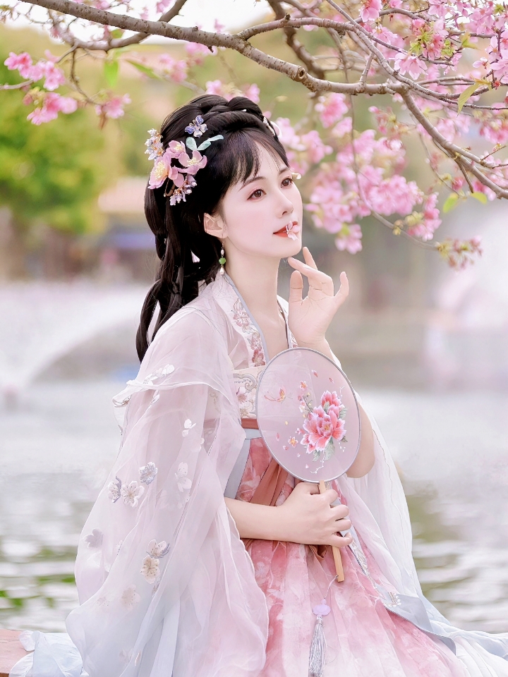 春知晓梦樱花